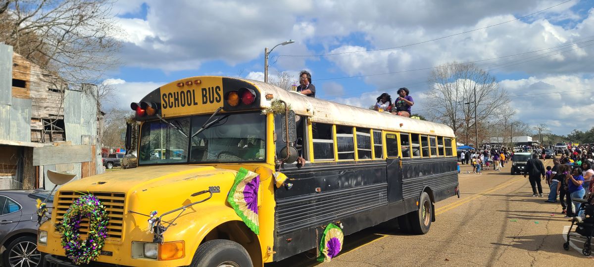 Mardi gras participants